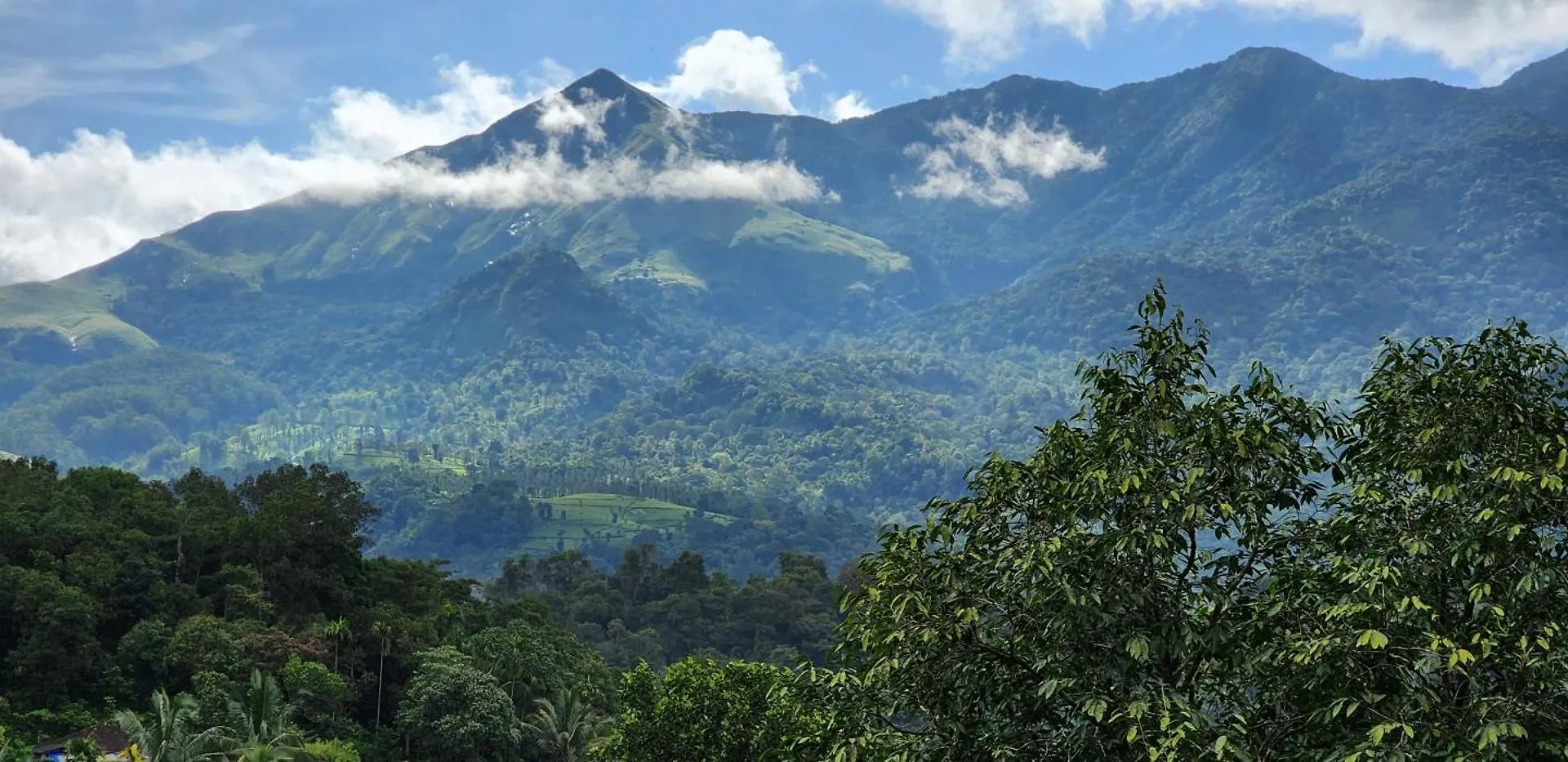 Treevillawayanad Vythiri Willa
